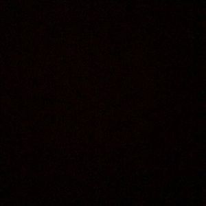 Meet your Posher, Evie